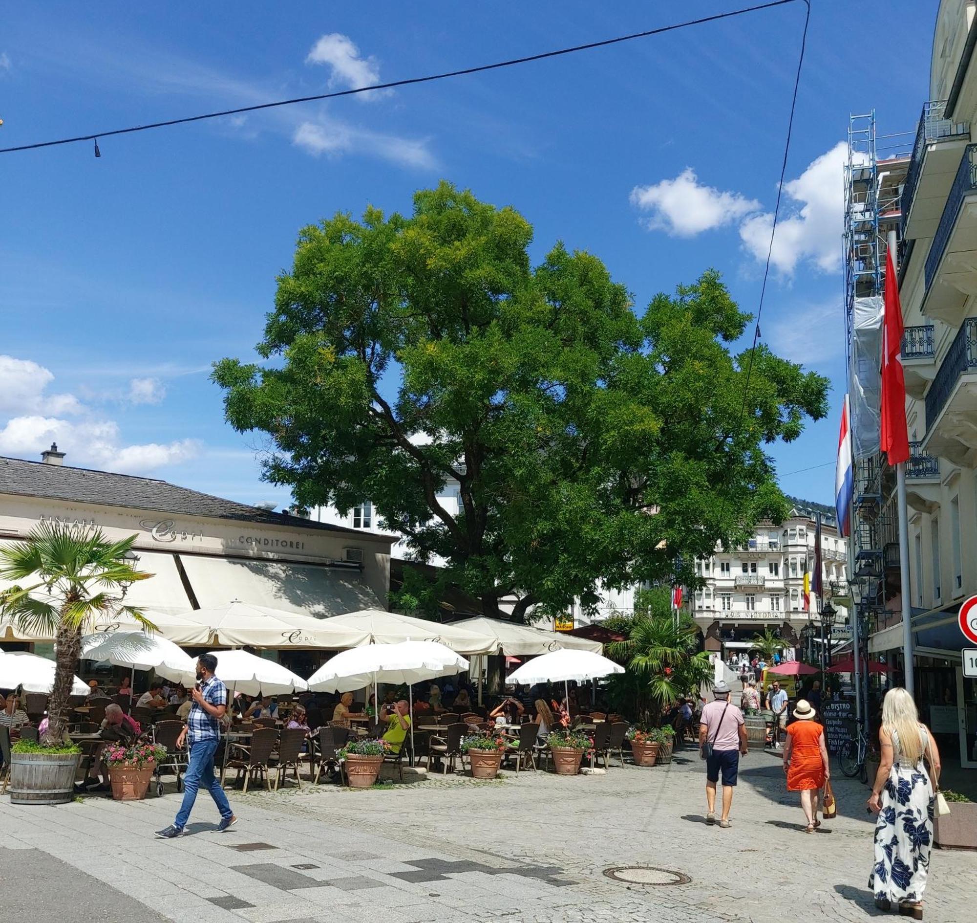 Gemuetliches J&L Apartment Nahe Des Hauptbahnhofes Baden-Baden Dış mekan fotoğraf