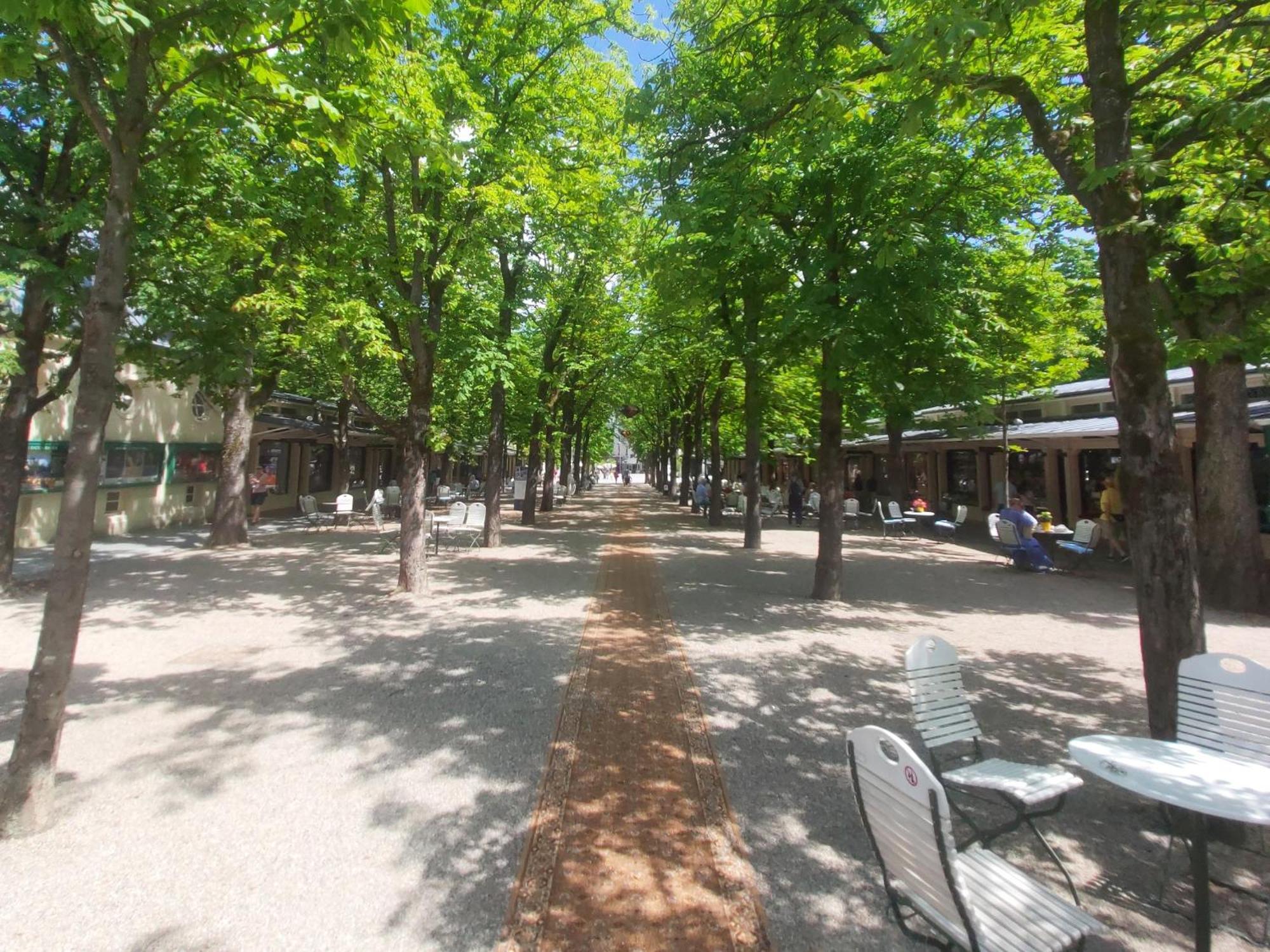 Gemuetliches J&L Apartment Nahe Des Hauptbahnhofes Baden-Baden Dış mekan fotoğraf